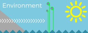 Environment Environment - Interest Group