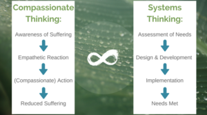Compassionate and Systems Thinking